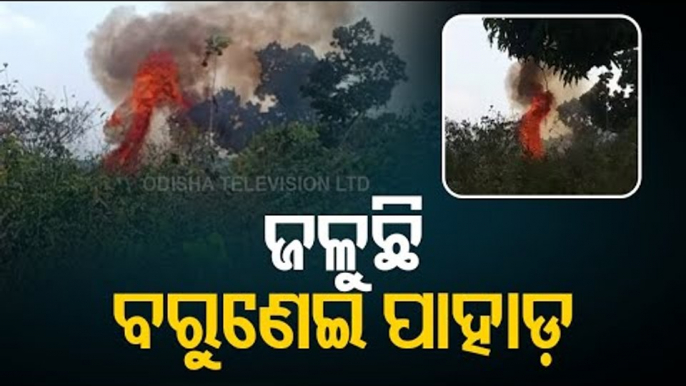 Fire Engulfs Barunei Hill In Khordha, Fire Fighters On Spot