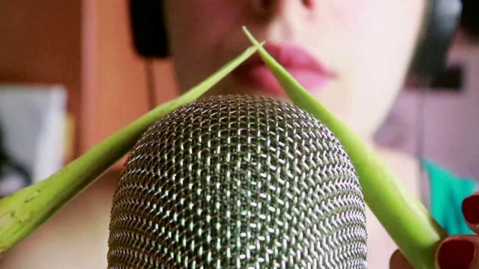 Asmr Extra Tingly Bamboo Mic Scratching ♡Brain Melting, Tingling♡ Get Your Tingles Back (No Talking)