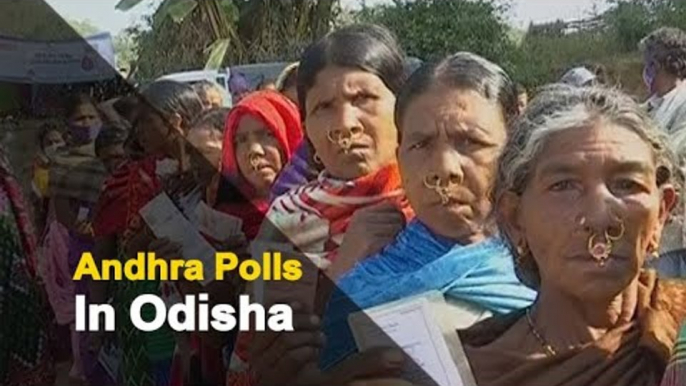 Andhra Pradesh Holds Panchayat polls in Disputed Region of Kotia In Odisha | OTV News