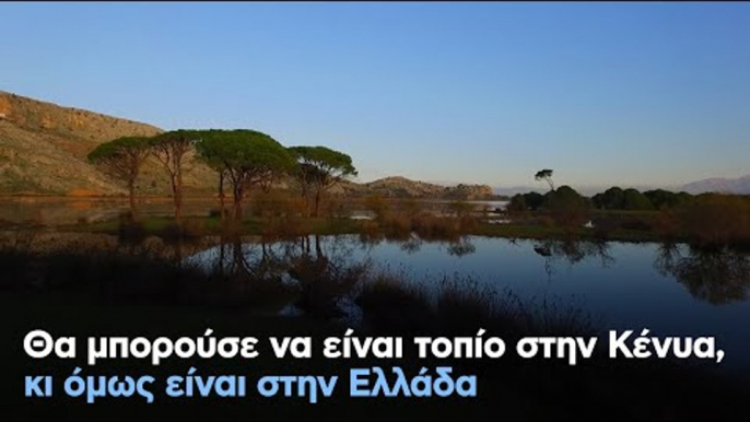 Θα μπορούσε να είναι τοπίο στην Κένυα, κι όμως είναι στην Ελλάδα