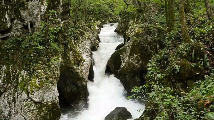 Nature Sounds-Relaxing Meditation-Birds sound-Calming-Water falling sound effect-Relax mind and body