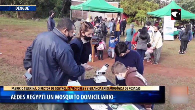 Aedes Aegypti un mosquito domiciliario