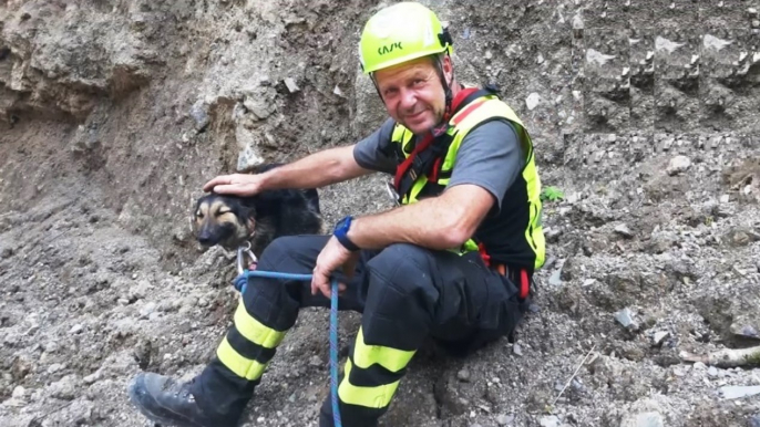 Sauris di Sopra (UD) - Cani scivolano in una dolina: salvati dai Vigili del Fuoco (22.06.21)