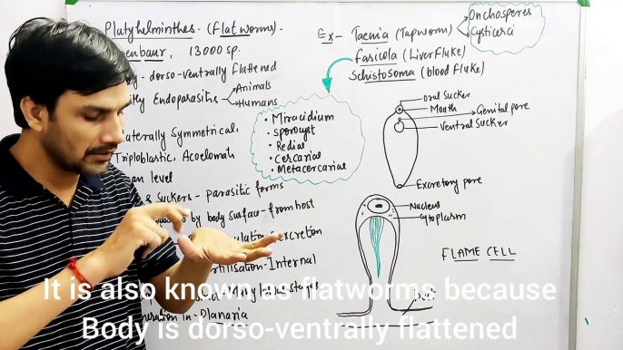 Animal Kingdom Part-8 Phylum-Platyhelminthes