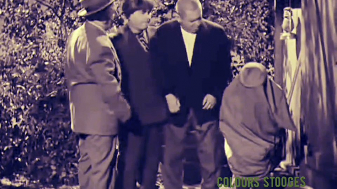 Comedy three stooges at cemetery short clip colours