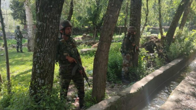 2 terrorists killed in encounter in Kashmir's Bandipora