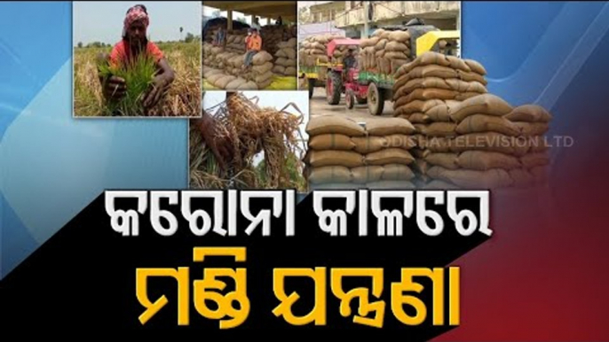 Paddy Procurement Mismanagement Alleged In Sambalpur & Kalahandi - OTV Report