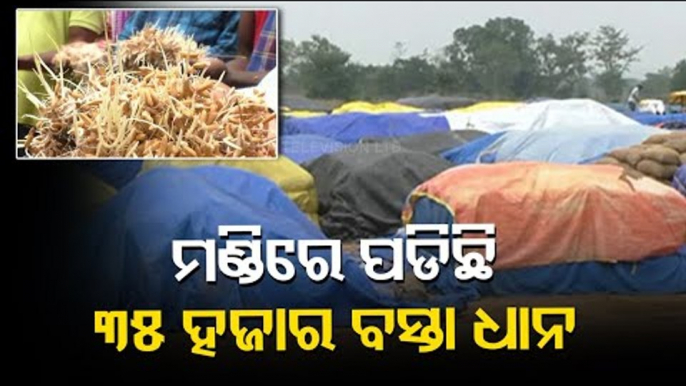 Mismanagement In Paddy Procurement Alleged At Binika, Sonepur