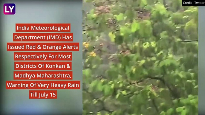 Red Alert Issued By IMD For Parts Of Maharashtra As South West Monsoon Advances, Heavy Rainfall Warning Issued