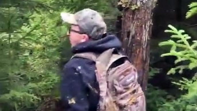 Un ours piège un touriste du haut de son arbre... très bonne blague