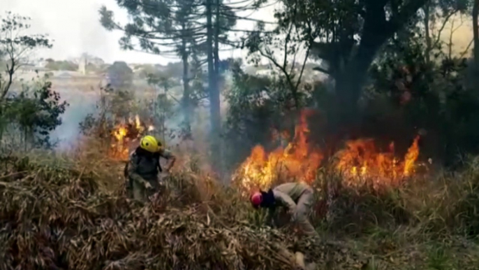 Mais um incêndio ambiental é combatido pelo Corpo de Bombeiros às margens da BR-277