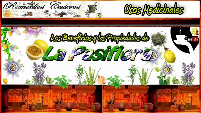 Beneficios de la Pasiflora, Remedio Casero para Dormir, la Ansiedad el Nerviosismo y el Insomnio