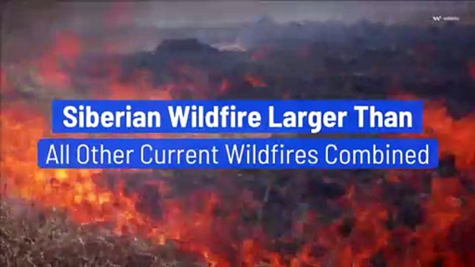 Siberian Wildfire Larger Than All Other Current Wildfires Combined