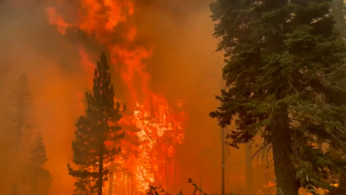 Towering wall of flames from the Caldor Fire