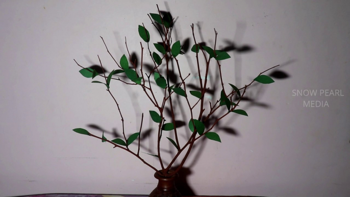 Dry Tree Branches Decoration | DIY | Tree Branches Decoration | Art and Crafts #22