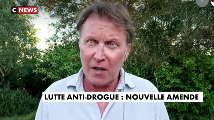 Deux nouvelles amendes forfaitaires délictuelles vont être expérimentées dans plusieurs villes de France pour faciliter notamment la lutte contre les stupéfiants