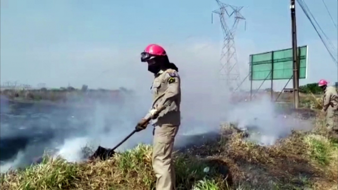 Corpo de Bombeiros é mobilizado para combater incêndio em vegetação às margens da BR-277