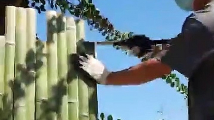 How to make making a special bamboo fence IDEAS WITH Bamboo Crafts with Bamboo USEFUL LIFE HACKS