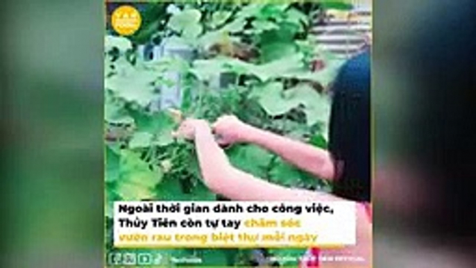 Những vườn rau sạch nhà trồng của sao Việt: Khu vườn nhà Công Vinh - Thủy Tiên chưa phải xanh nhất