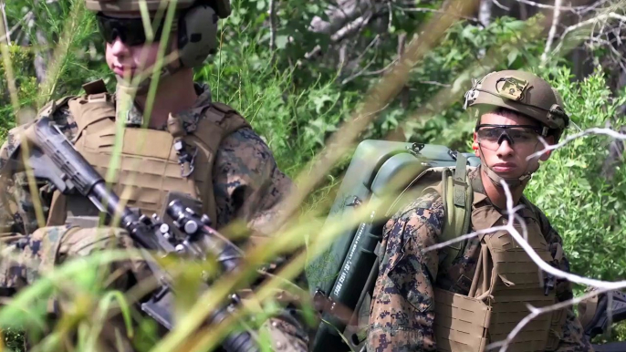 U.S. Marine • Combat Engineers • Fire Anti-Personnel Obstacle Breaching System