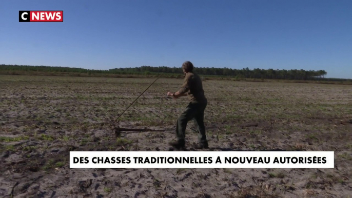 Des chasses traditionnelles à nouveau autorisées