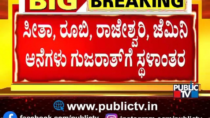 Four Elephants Of Mysuru Palace To Be Rehabilitated In Gujarat After Dasara | Public TV