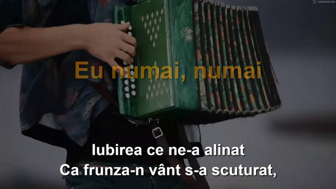 Ionel Istrati: "Eu numai, numai". Karaoke