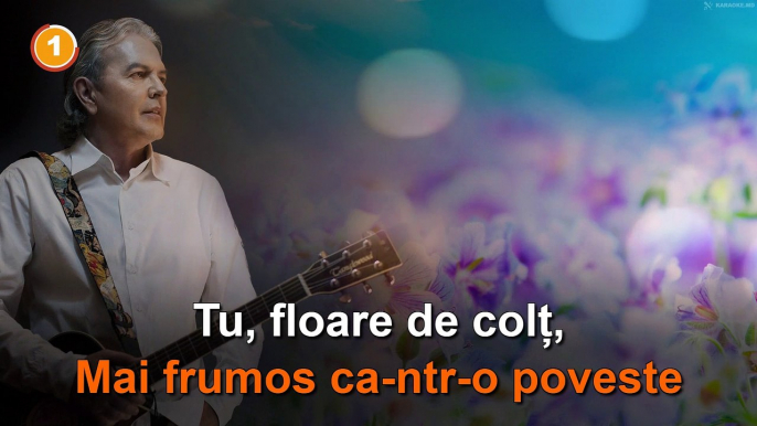 Ducu Berți: "Floare de colț". Karaoke