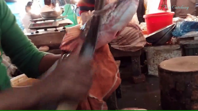 Amazing Giant Sola Fish Cutting Skills Live In Bangladesh _ Amazing Fish Cutting Skills ( 714 X 1280 )