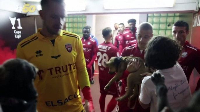 These Dogs Are Getting Help From Romanian Soccer Players