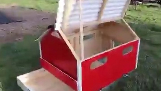 build an outdoor brooder coop for 30 baby chicken   CHICKENS build with COOP! FEEDING CHICKENS