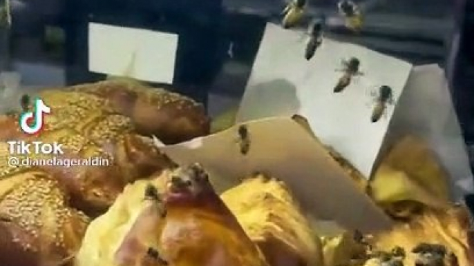 Cette boulangerie à Mexico est envahie de milliers de guêpes