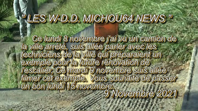 LES W-D.D. MICHOU64 NEWS - 9 NOVEMBRE 2021 - PAU - ESCALIER DE L'AVENUE NITOT UN EXEMPLE POUR SA RÉNOVATION