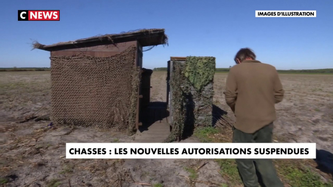 Chasses traditionnelles : les nouvelles autorisations suspendues