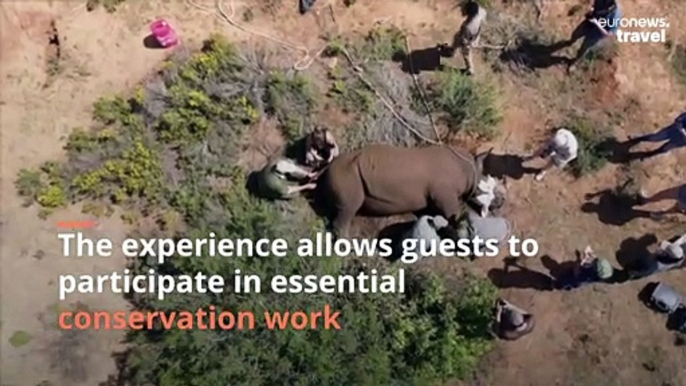 Get up close and personal with rhinos at this South African conservation lodge