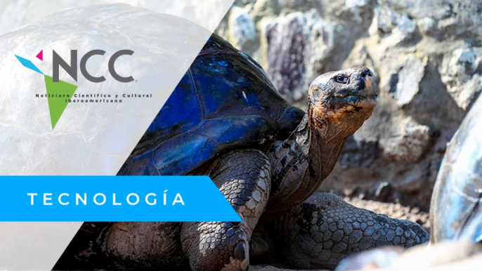 En Galápagos marcan a más de 4 mil tortugas gigantes para monitorear su conservación