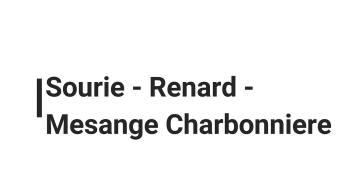 SOURIE RENARD MESANGE CHARBONNIERE LE 27 AVRIL2021