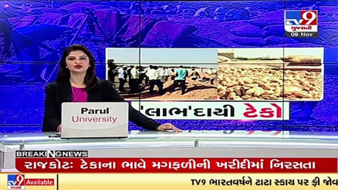 Groundnut procurement at MSP begins at Dhrol marketing yard in Jamnagar _ TV9News