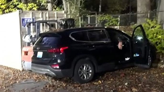 Bear Opens Car Door For a Snack in Tennessee