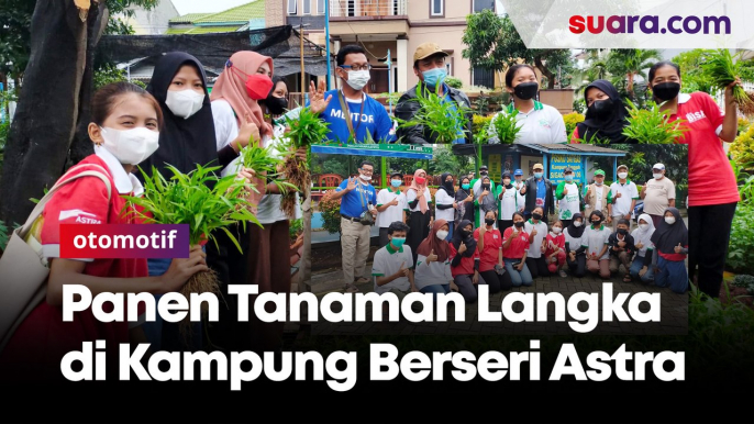 Panen Kangkung dan Tanam Bibit Pohon Langka di Kampung Berseri Astra (KBA) Pinang Griya Permai