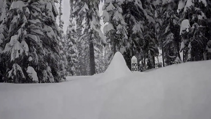 Wind-blown snow creates wintry scenes across the north