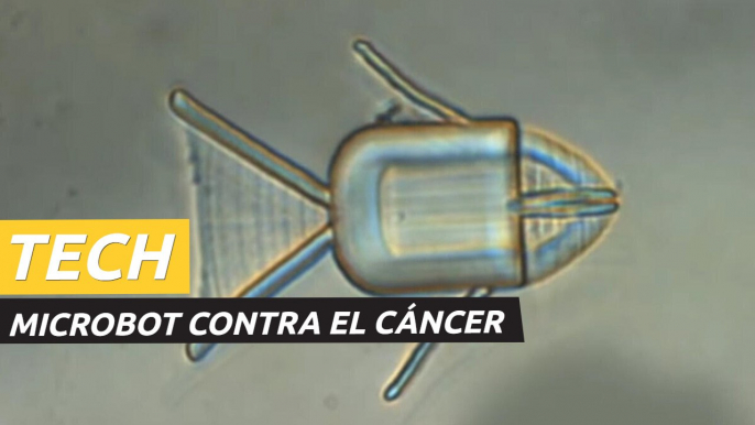 Microbots que pueden  ayudar a luchas contra el cáncer