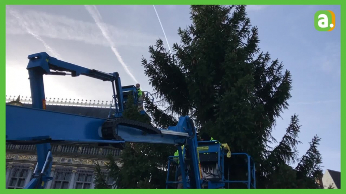 Le sapin est arrivé sur la Grand-place de Tournai