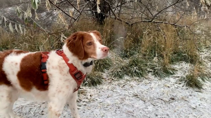 November snow falls across swaths of the northern US into Canada