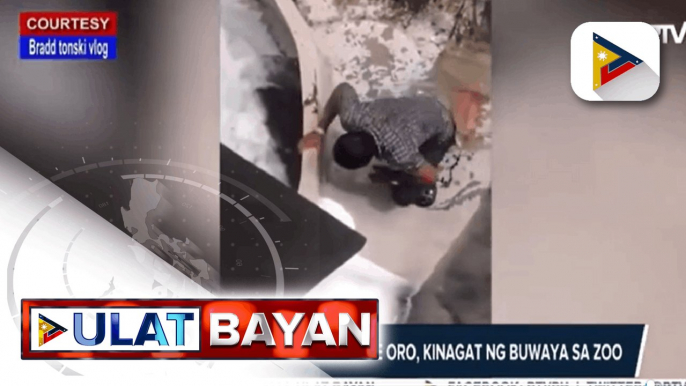 68-anyos na lolo sa Cagayan de Oro, kinagat ng buwaya sa Zoo
