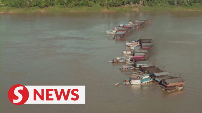 Gold rush draws swarm of illegal miners in Brazil