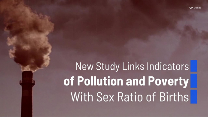 New Study Links Indicators of Pollution and Poverty With Sex Ratio of Births