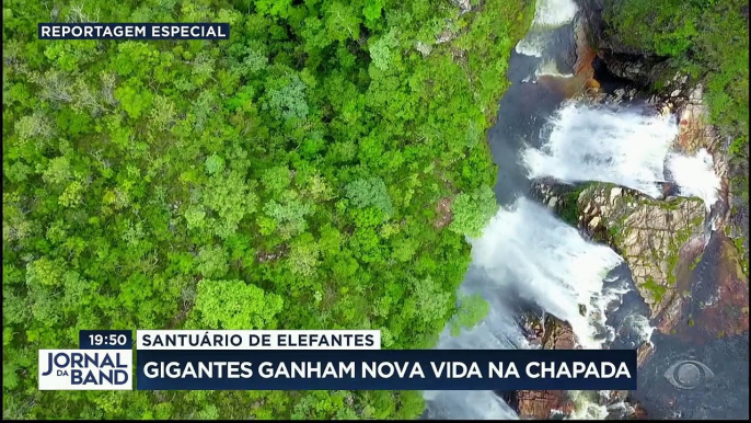 Vamos conhecer agora um santuário de elefantes que fica no Brasil. Lá, muitos animais que sofriam maus-tratos em circos e zoológicos ganham uma nova vida.