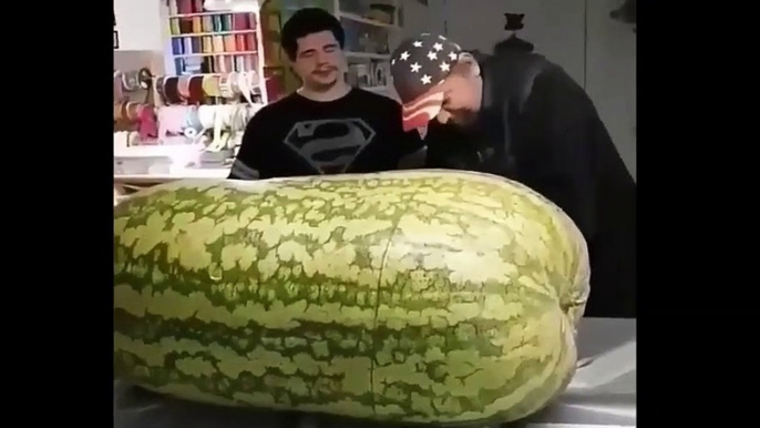 a man found watermelon from the forest. when split he was shocked
