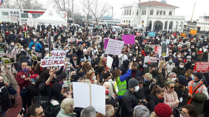 Kadıköy'de sokak hayvanları için eylem